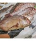 Machote o pargo