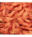 Camarón cocido