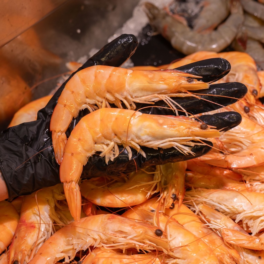 Langostino cocido grande