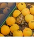 Melocotón de Calanda | Mercado de Puertochico