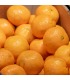 Mandarina | Mercado de Puertochico