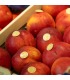 Nectarina