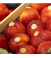 Nectarina
