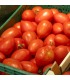 Tomate pera