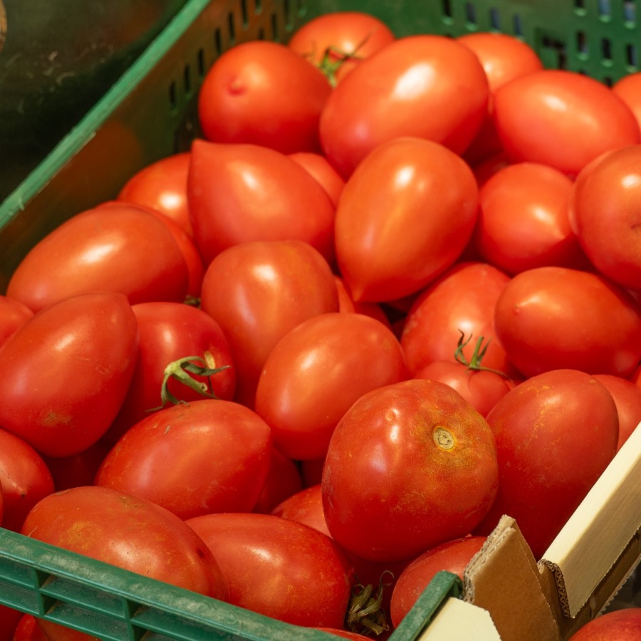Tomate pera