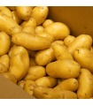Patata de guarnición