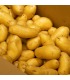 Patata para Freír | Mercado de Puertochico