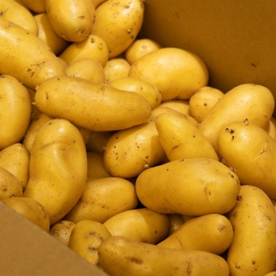 Patata para Freír | Mercado de Puertochico