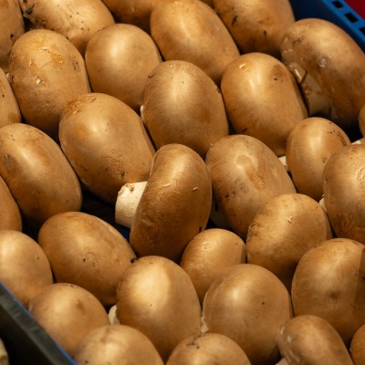 Champiñón Portobello