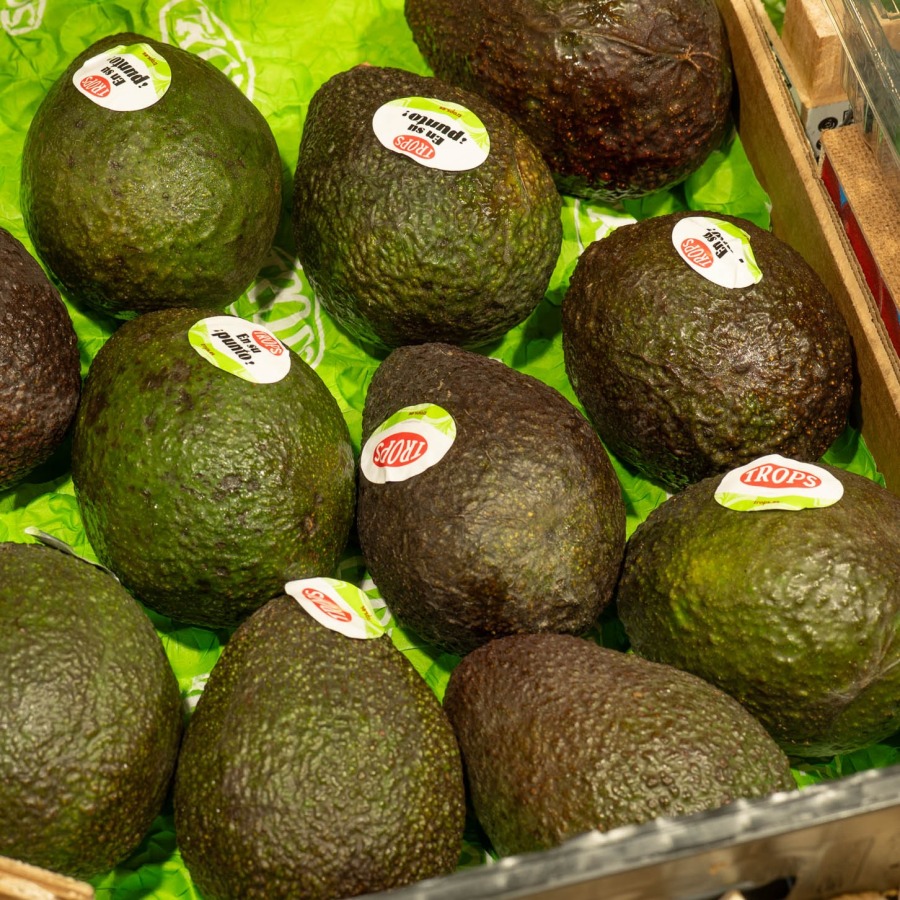 Aguacate | Mercado de Puertochico