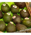 Aguacate