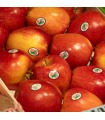Manzana Royal Gala