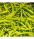 Piparras | Mercado de Puertochico