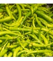 Piparras