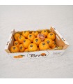 Naranja Torres