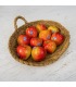 Manzana Kanzi | Mercado de Puertochico