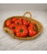 Tomate de Isla de Cantabria | Mercado de Puertochico